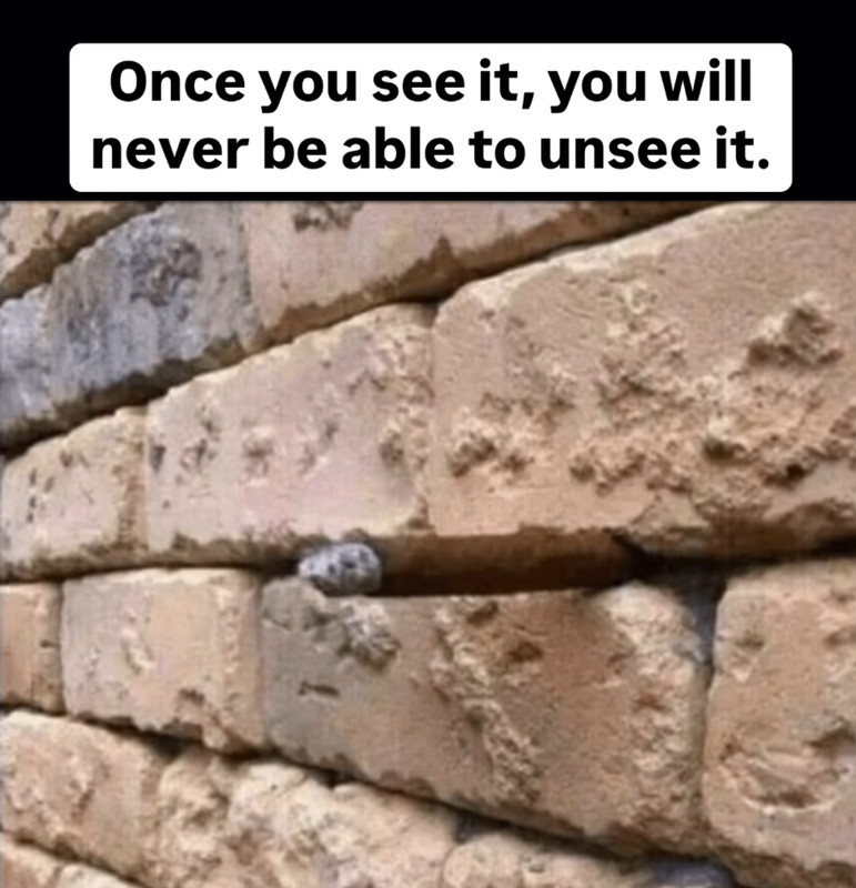 IMG:https://i.postimg.cc/qvChNvpB/IMG-3295.jpg