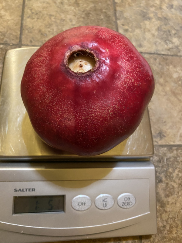 BEC04B97-2638-42CD-B19A-ADCF2FE83F2F