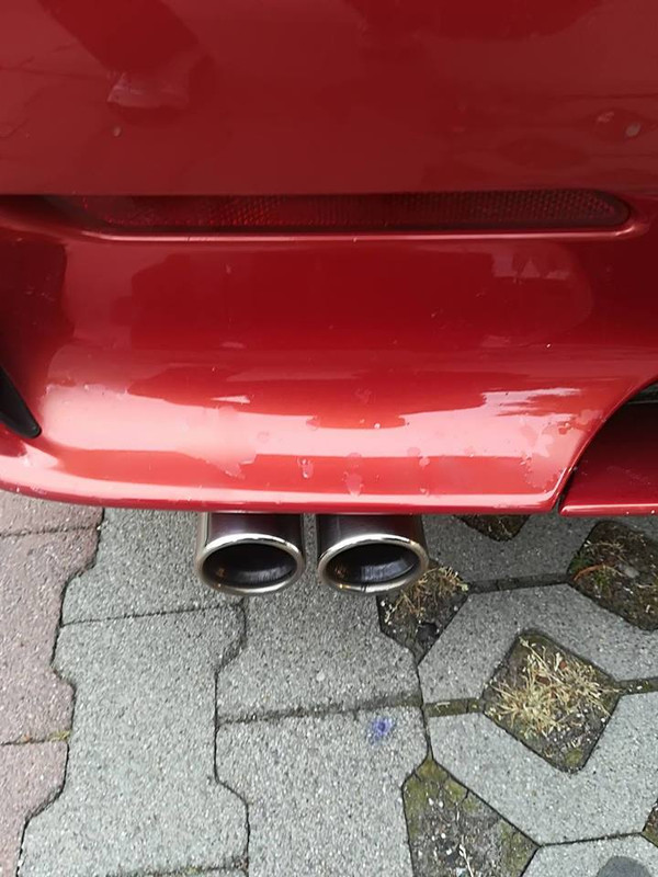 33875389_10214491612316626_656291631556722688_n