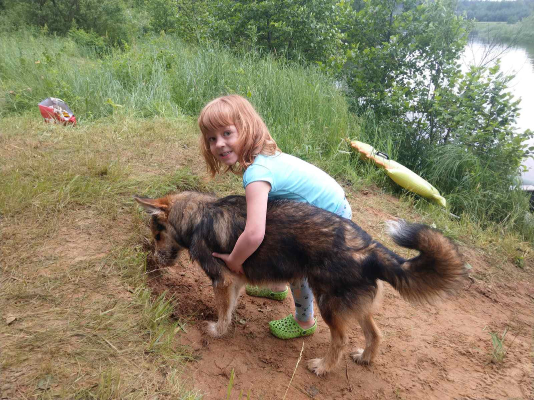 изображение_viber_2020-07-09_21-07-33