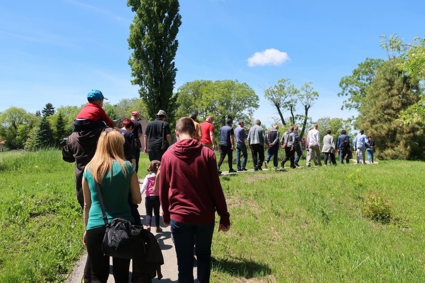 Zmixijada2019