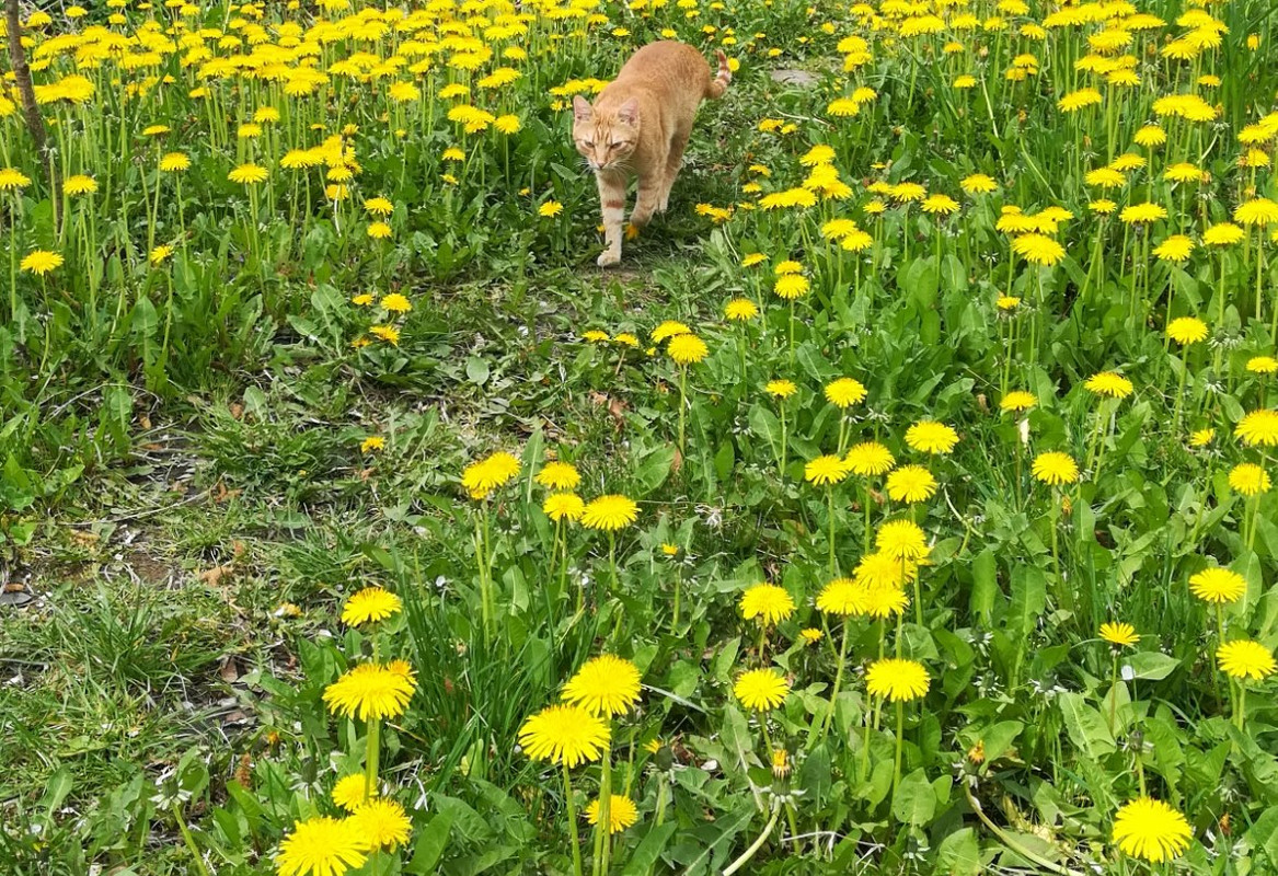 62049981_2385497371470655_6597974527286706176_o (1)