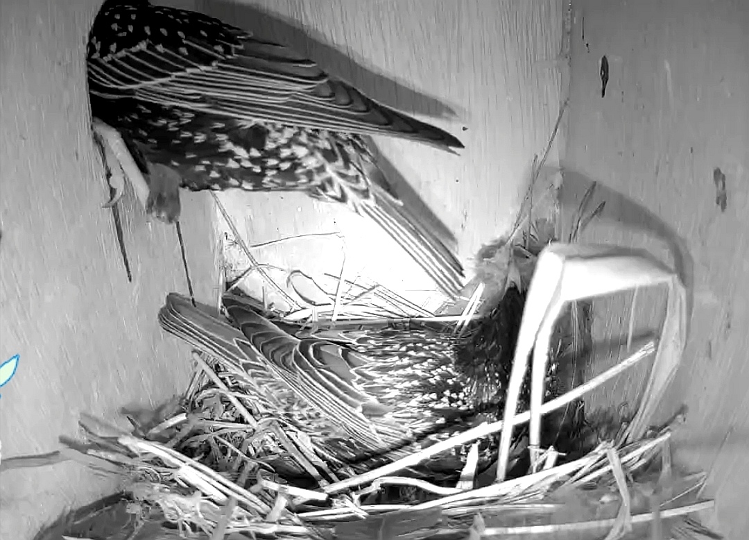 Screenshot 20260407 083504