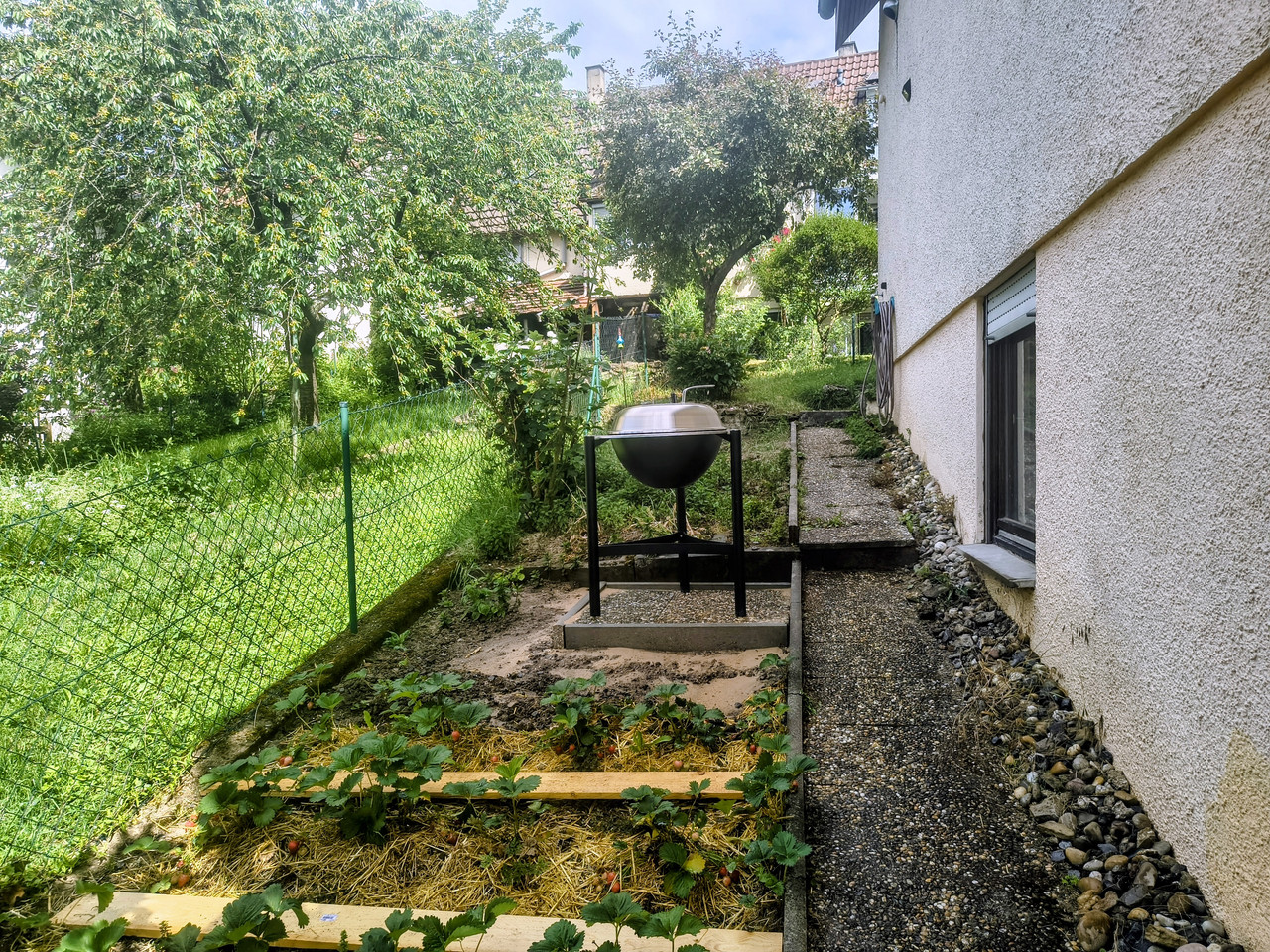 IMG-20260530-110051810-HDR-2.jpg