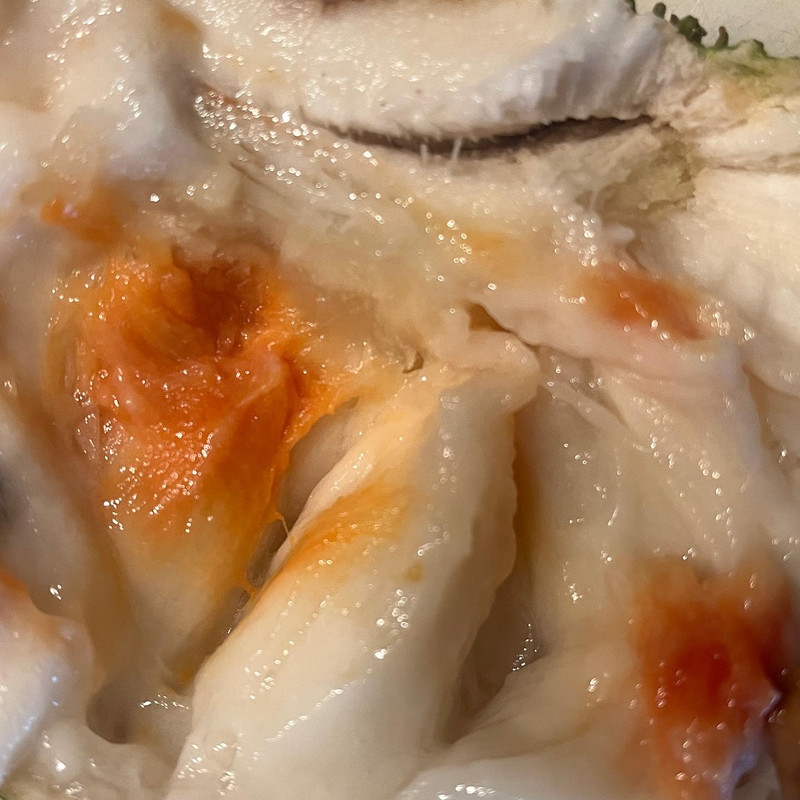 41F53E1D-5FD1-4FB5-BE07-8A7AC7D34CEC