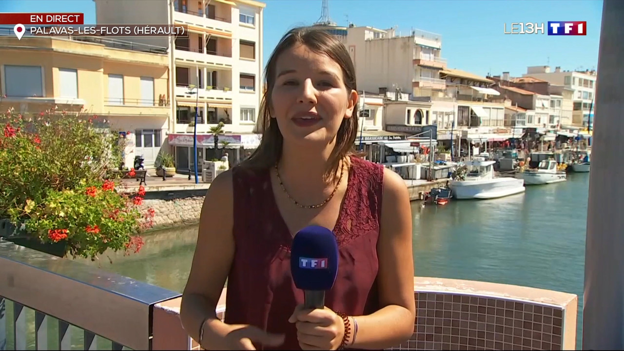 2020-09-02_13_00_TF1_Le-13h.mp4_snapshot_00.23.55.605