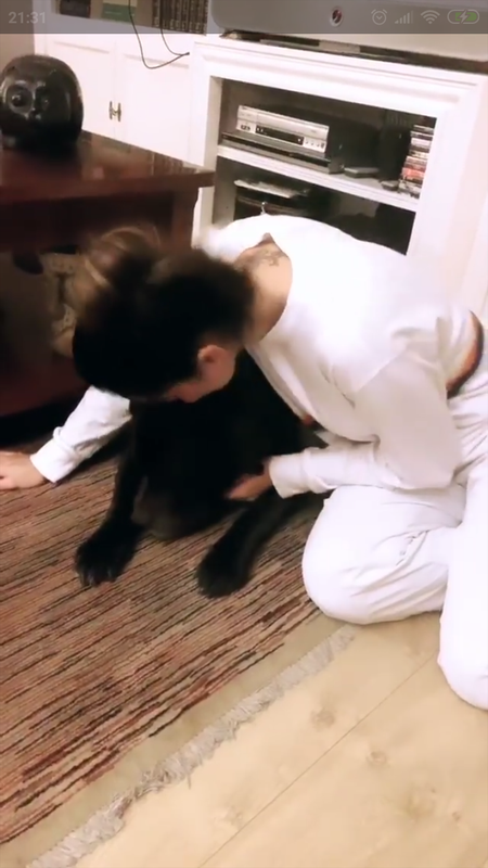 Screenshot_2018-12-23-21-31-50-707_com.instagram.android