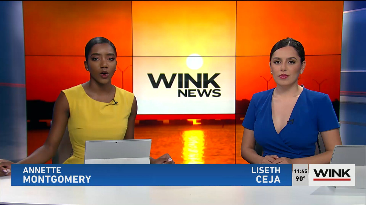 07.23 - 16.30.00 - WINK NEWS at 11 30am. Midday news..ts_snapshot_21.27.736