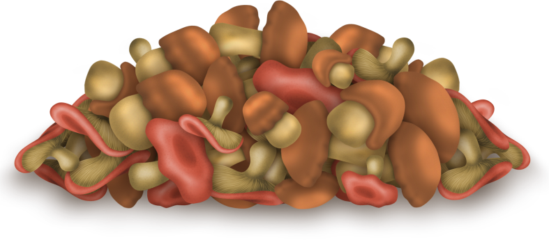 Pumpkinfairykitpudnacornss
