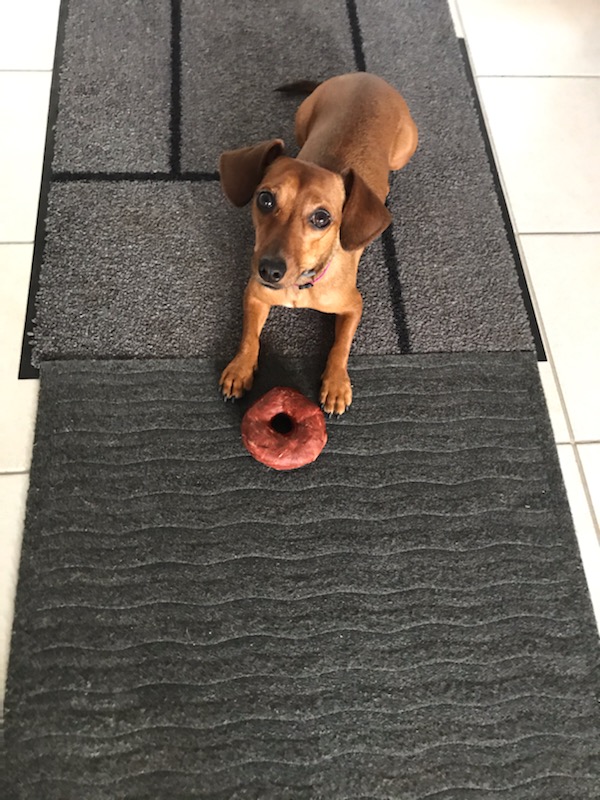 [Image: IMG-9303.jpg]