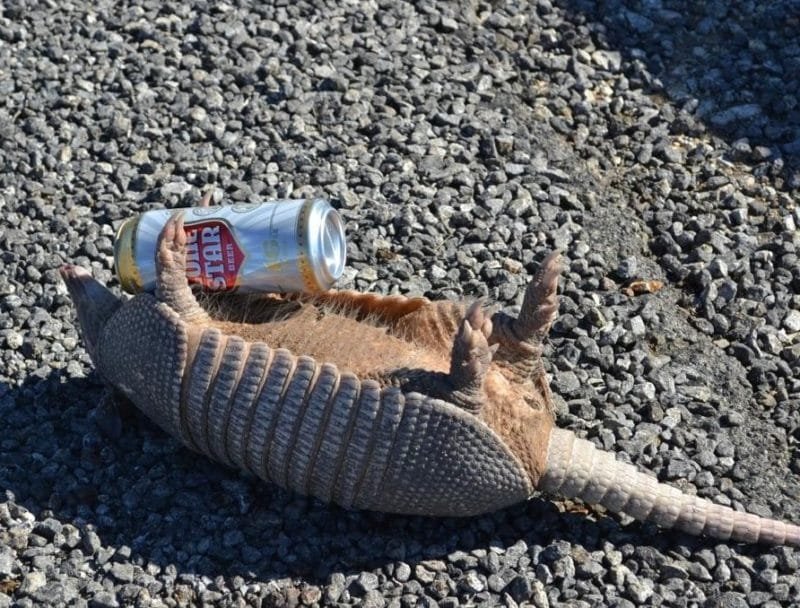 17-B26-E2-F-81-A7-4-F19-B3-D3-CD3-D86-F25-C96