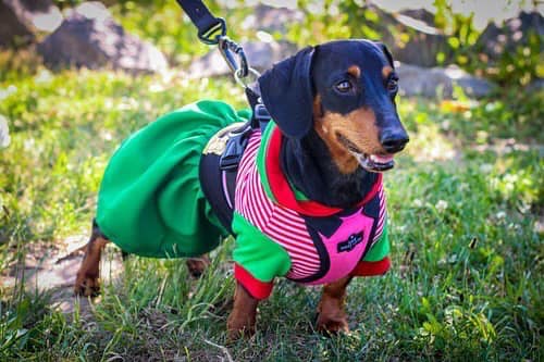 [Image: 412657712-7004862296261078-5817300096679801093-n.jpg]