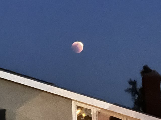 [Image: 1-B54-EE1-B-1997-40-A2-A0-A6-8-D516023-B194.jpg]