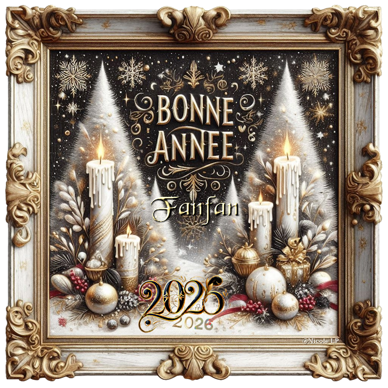 Image de Nicole LP cadeau.