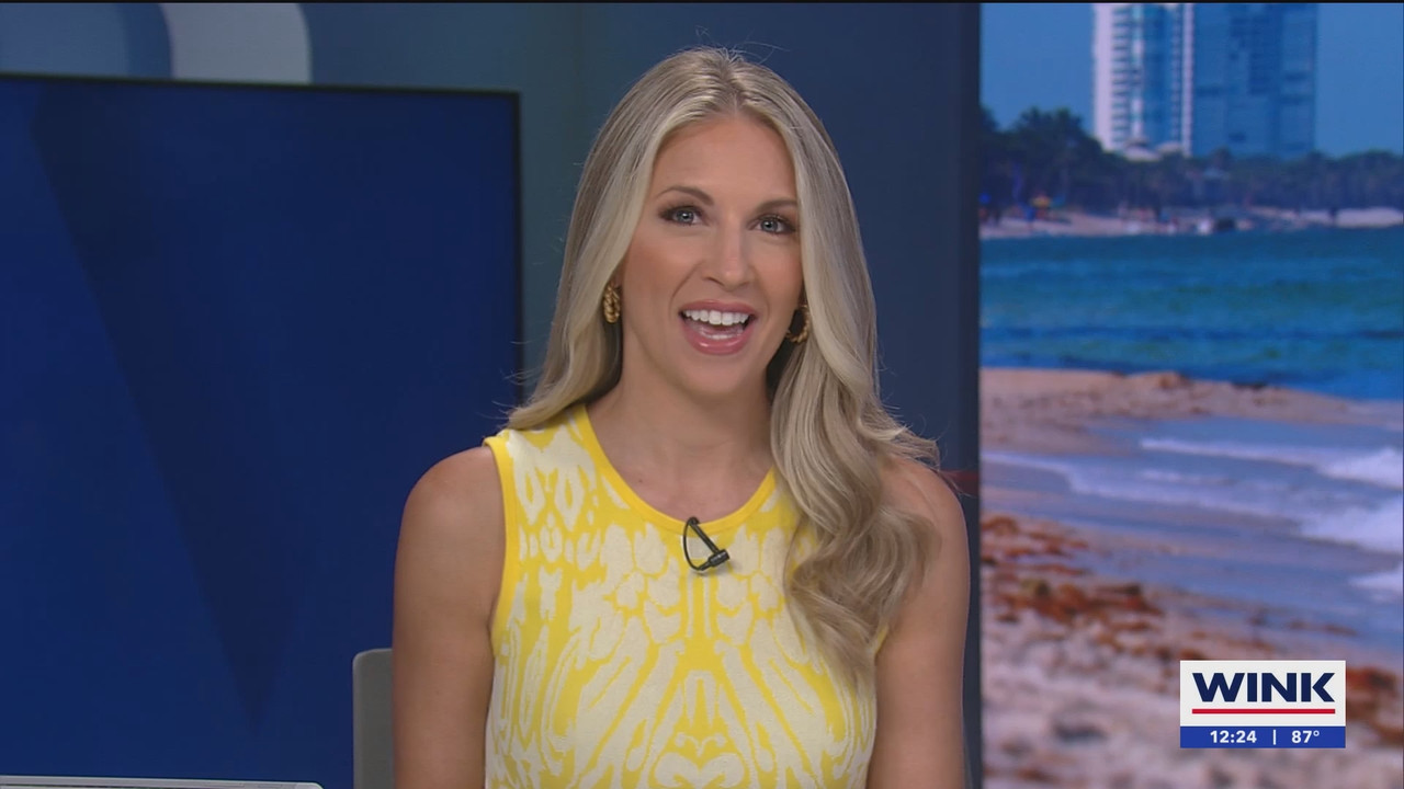 The WINK Noon News_20240917_17001730.ts_snapshot_29.53.107