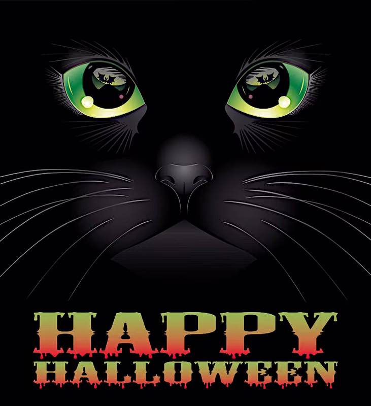halloween-background-with-black-cat-vector-6306841