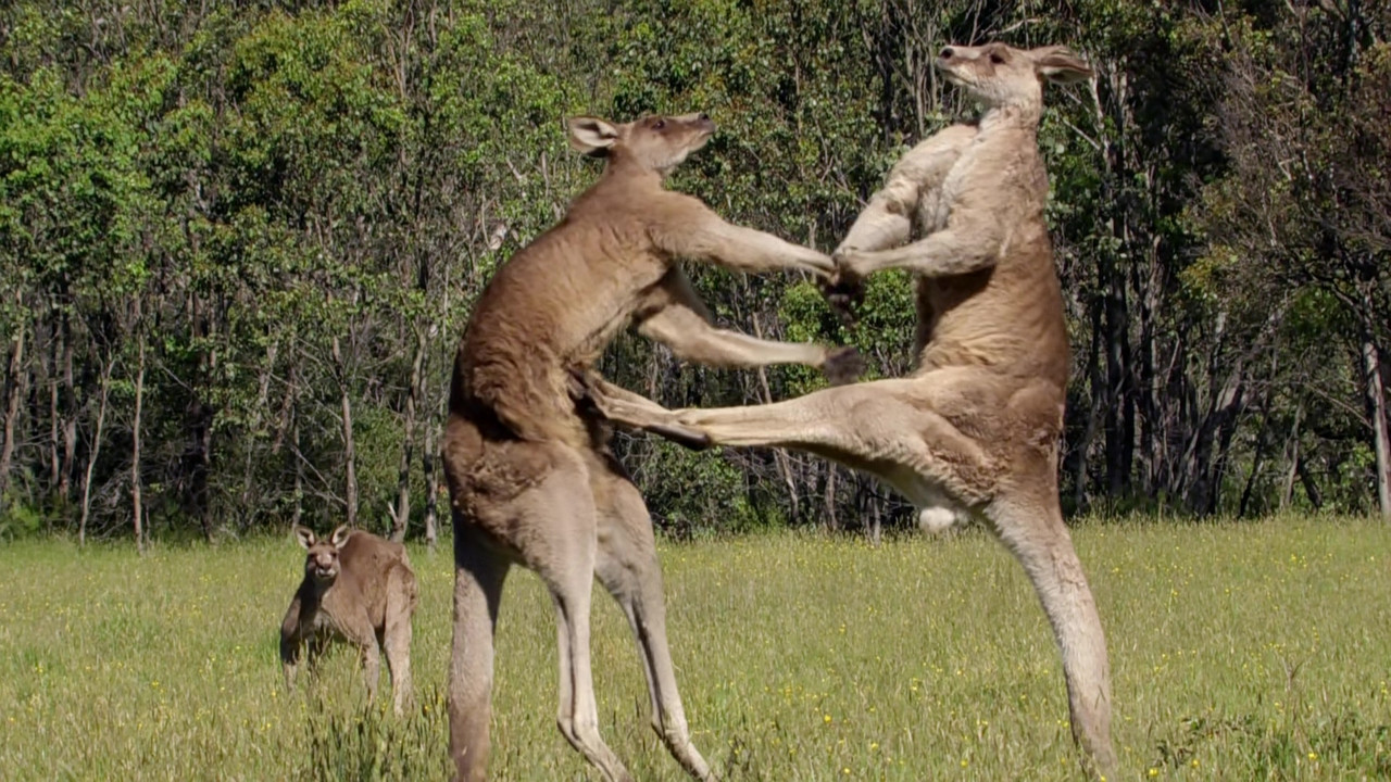 Life Story (2014) - S01E01 - First Steps (1080p BluRay x265 Sile