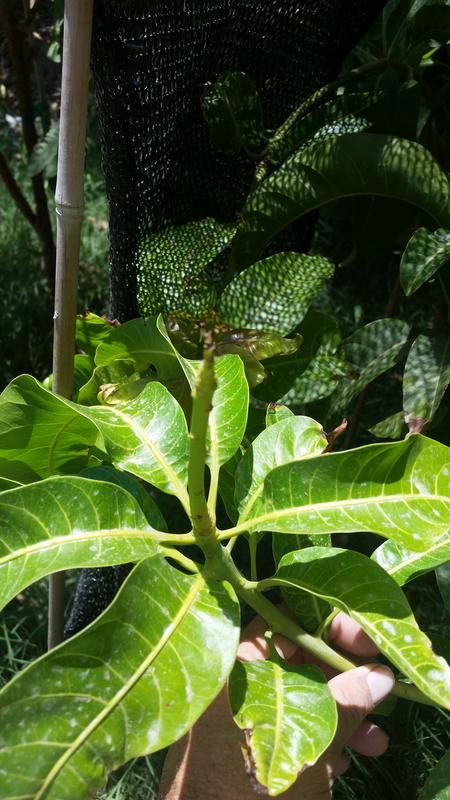 20180719_121116