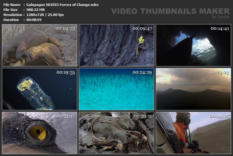 Galapagos S01E03 Forces of Change.mkv