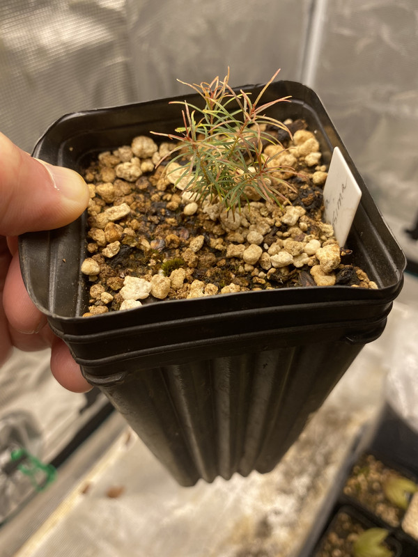 70AF937D-CCBC-4FE3-872B-0AA8DAE9C93A