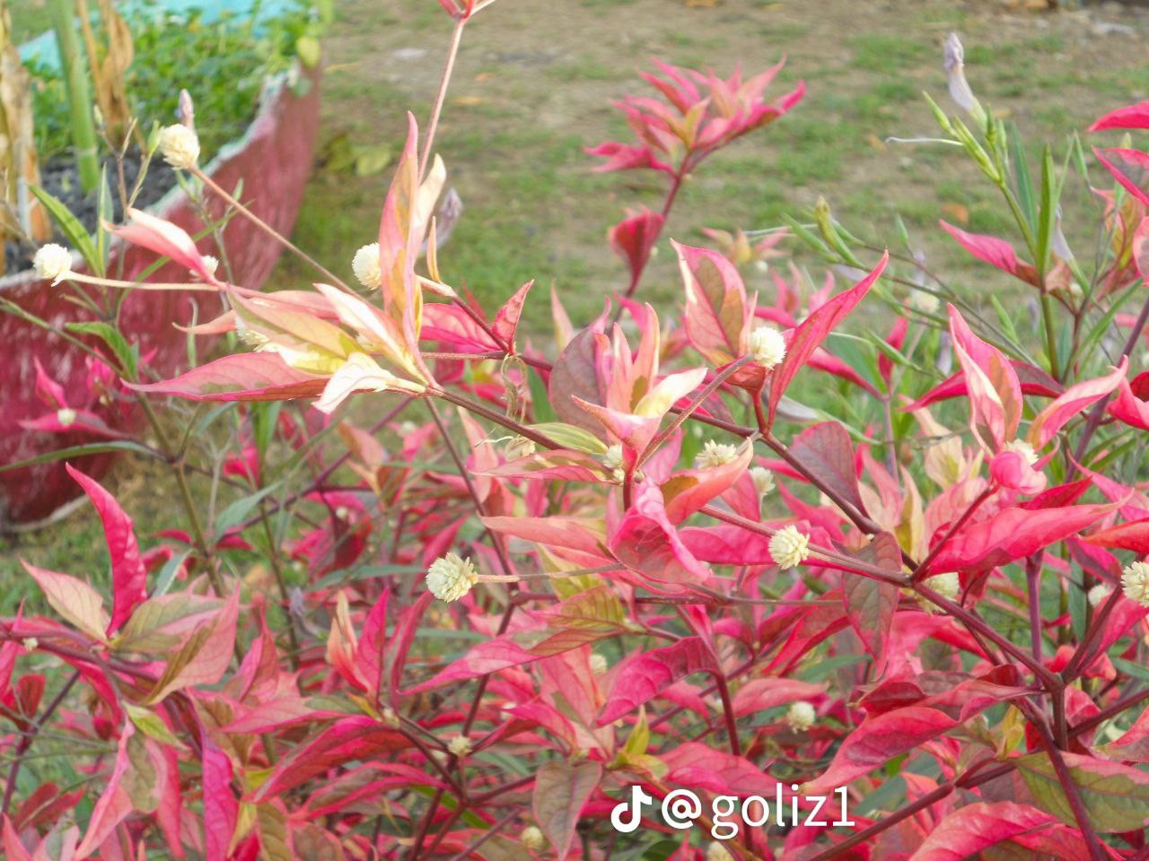 photo 5 2026 01 16 22 14 01