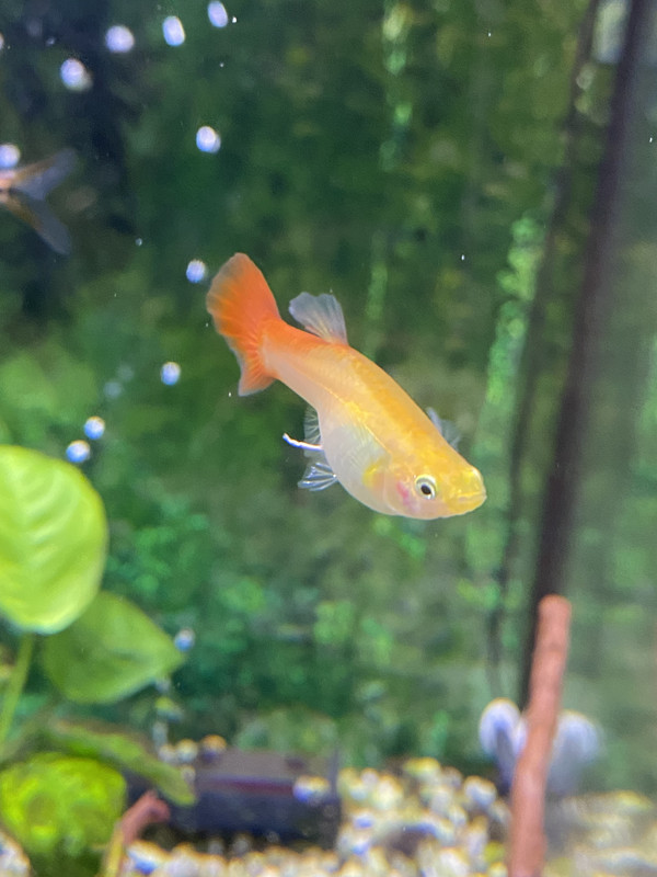 2D9EB425-F438-4175-A760-748620575F46