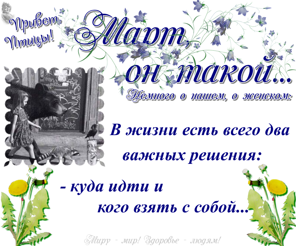 https://i.postimg.cc/qvGjVS8F/05-03.png