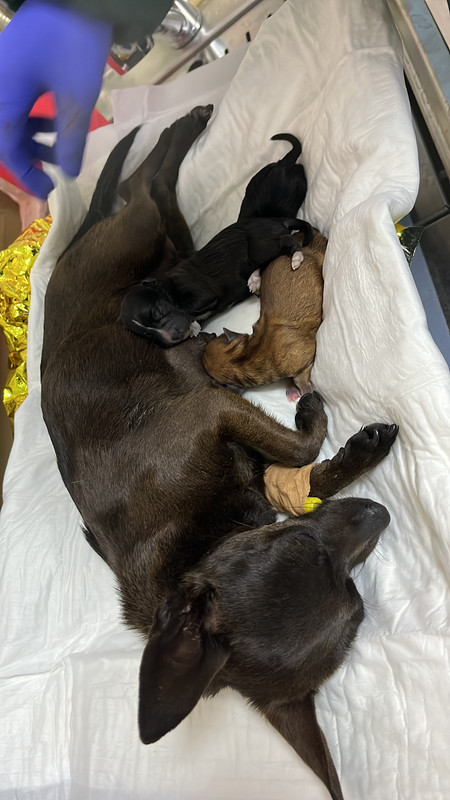 57191B55-B8E0-4FCB-B1D0-87B851CA920E