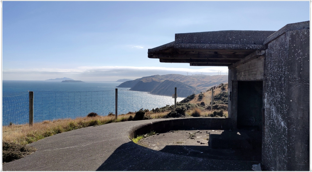 Escapadas y rutas por la Nueva Zelanda menos conocida - Blogs de Nueva Zelanda - Wellington más allá del Te Papa y el Cable Car (28)