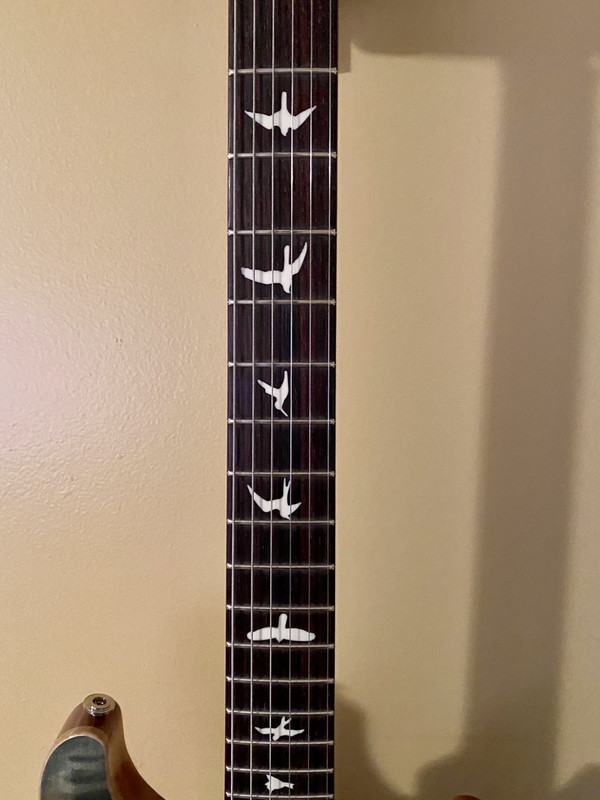 Birds position Official PRS Guitars Forum