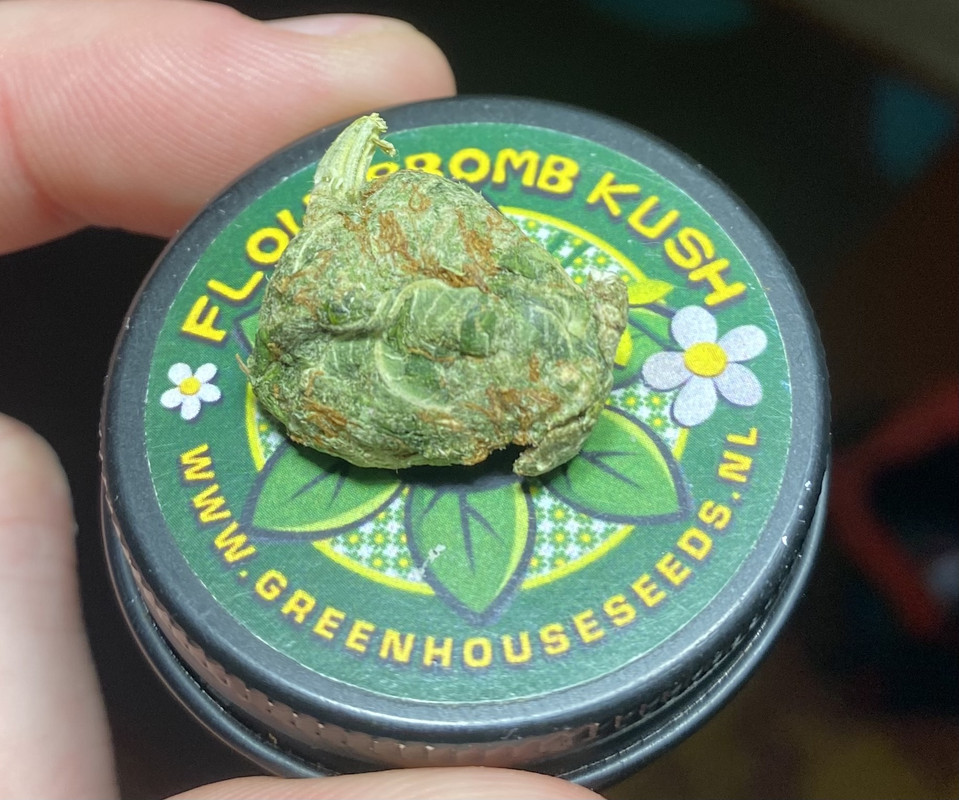 6EF10364-8D3F-45B4-AD73-9122C59A677B