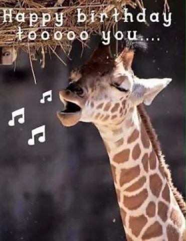 Giraffe-Birthday-sing-it
