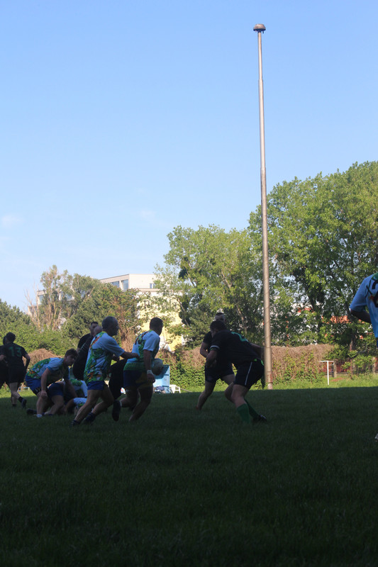 IMG-0536