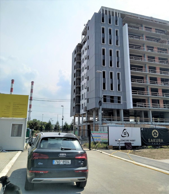 Сакура9 2020-06-09