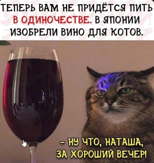 Вино для котов