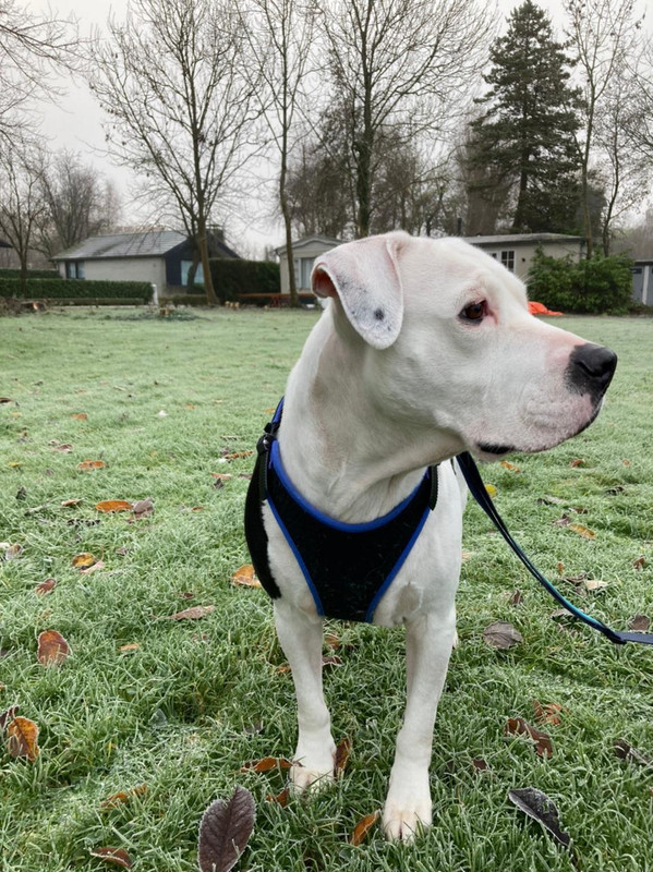 C779D045-2B19-4B2C-AF7B-480935385855