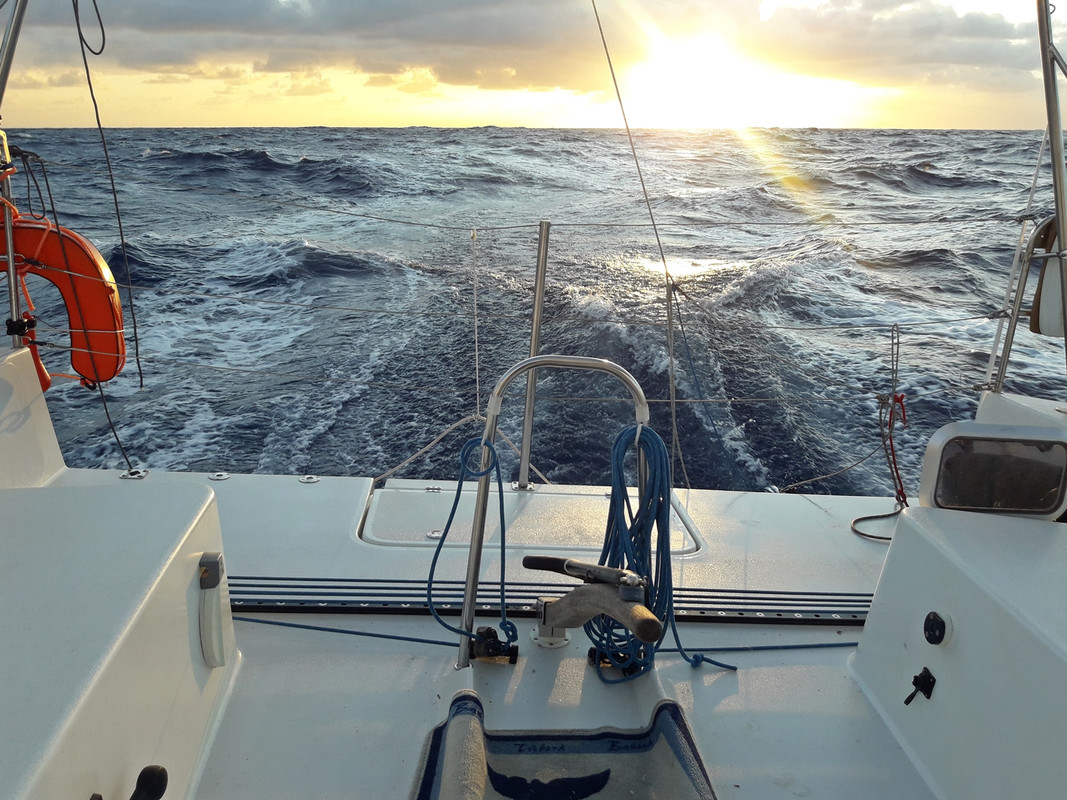 [Imagen: 20200215-092615.jpg]