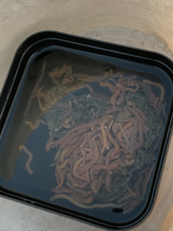 8345200F-5DFE-4D4C-810B-6664E8D94DD9