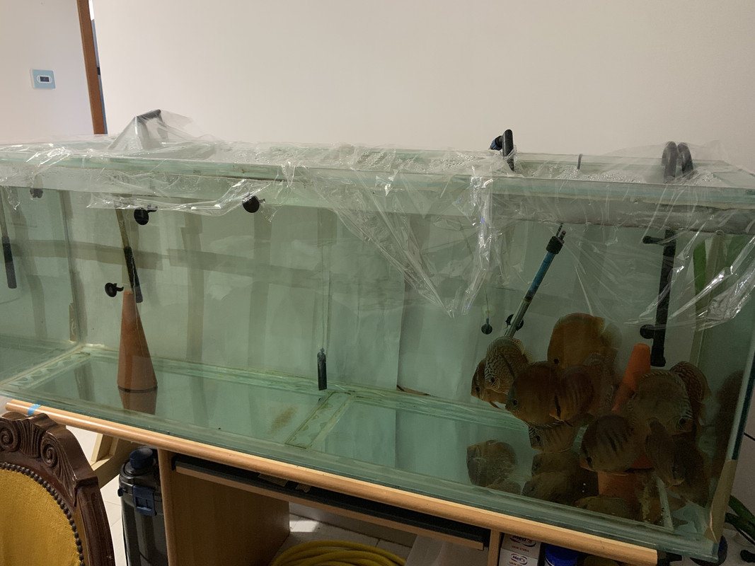 2D687943-386E-4FE2-8D56-4C461B8F26B7