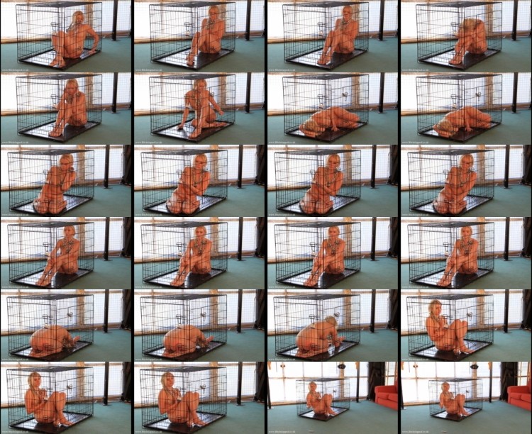 582