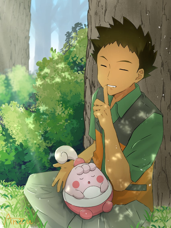 brock-and-happiny-pokemon-and-2-more-dra