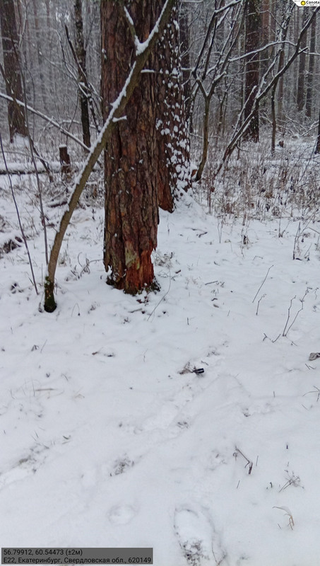 56 79912 60 54473 ( 2м) 07122025 154539