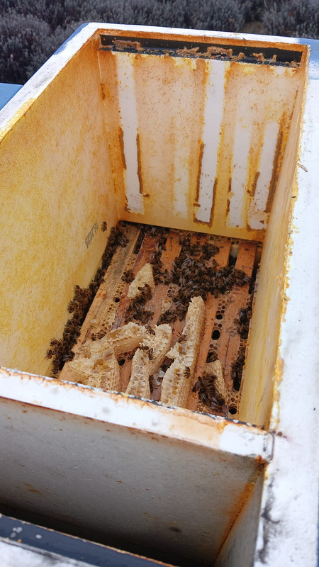 Obrázek Whats App 2025 12 06 v 11 17 13 16be30e5