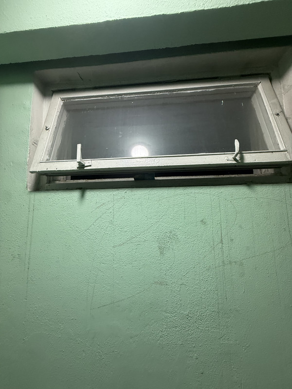 IMG 7677