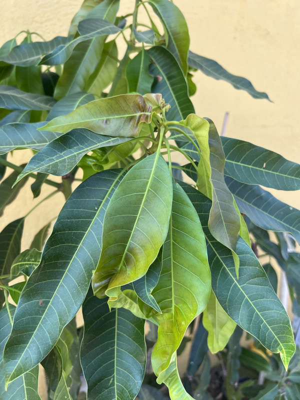 0D823413-4053-4AD3-8EBB-740860FCF48C