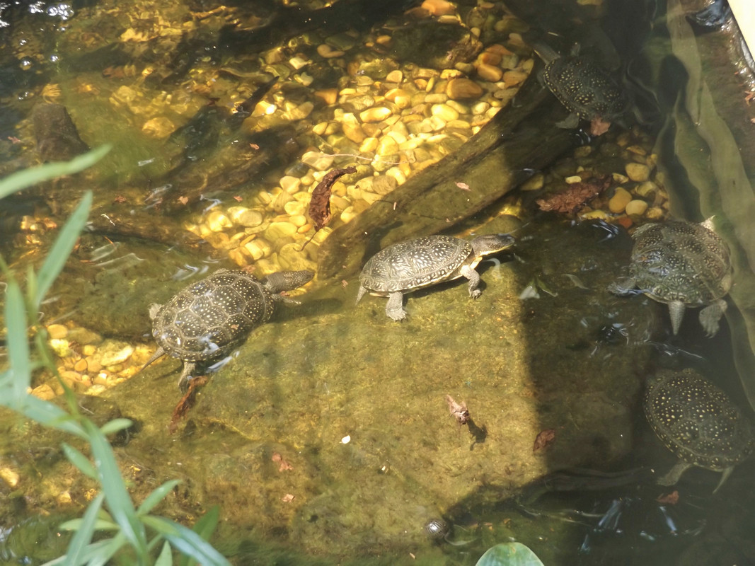 DSCF7560-2.jpg