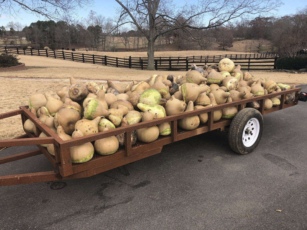 41C21ED2-F4A0-464F-B061-FC7F165B2448