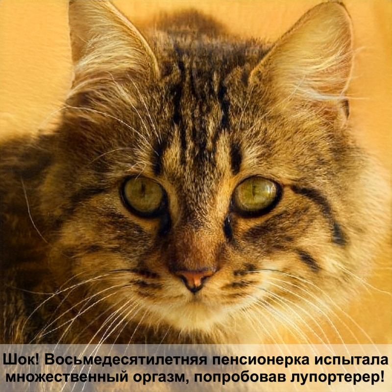 дом для кошки своими руками