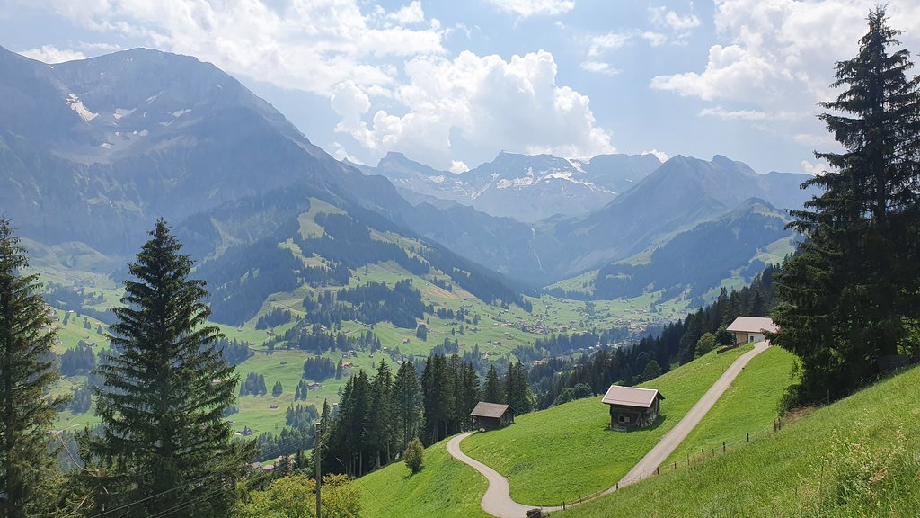 50 sombras del verde en Suiza y Alemania - Blogs de Suiza - ADELBODEN Y TSCHENTENALP...un columpio de altura (7)