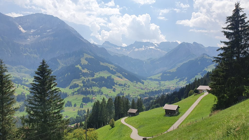 ADELBODEN Y TSCHENTENALP...un columpio de altura - 50 sombras del verde en Suiza y Alemania (7)